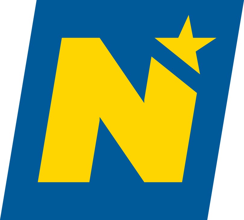 NOE Logo