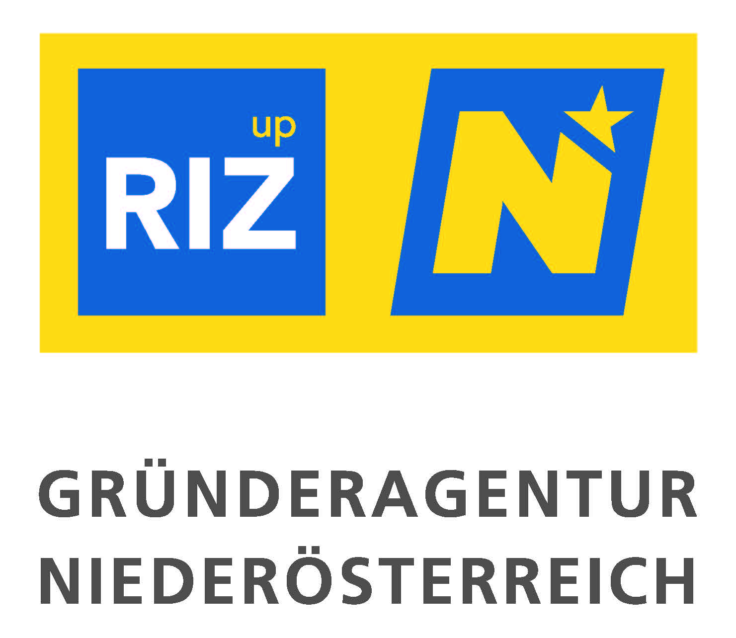riz-up logo
