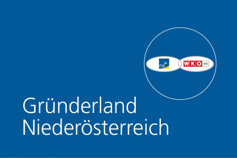 Website Teaser 480x320_GruenderlandNOE